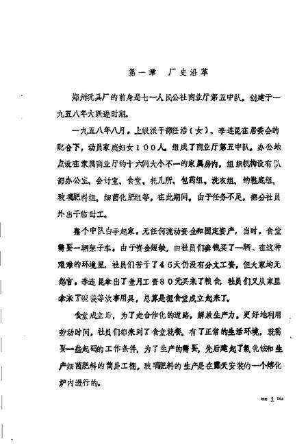 郑州玩具厂志.pdf电子版_河南省志预览图5