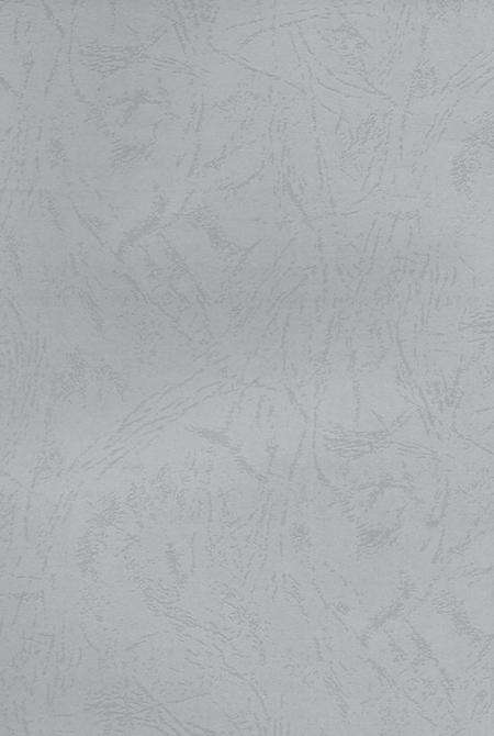 驰骋四海资兴人.pdf电子版_湖南省志预览图5