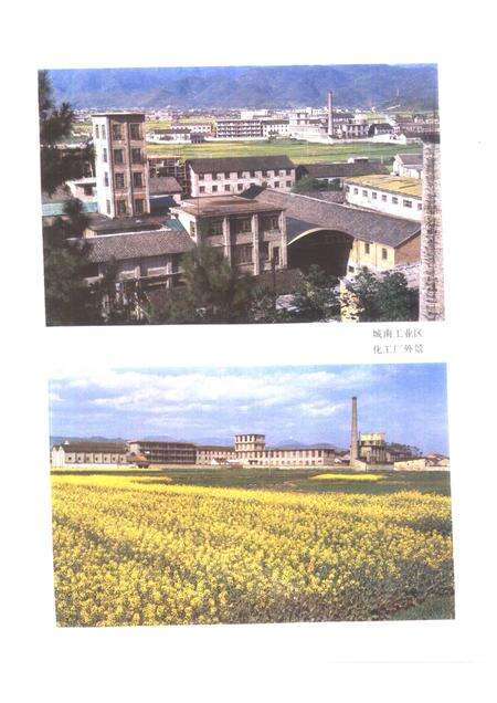 1987-仙居县志.pdf电子版_浙江省志预览图5