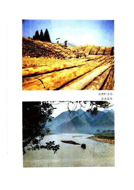 1988-开化林业志.pdf电子版_浙江省志预览图5