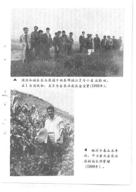 1994-建德文史资料  第11辑  农业专辑.pdf电子版_浙江省志预览图5