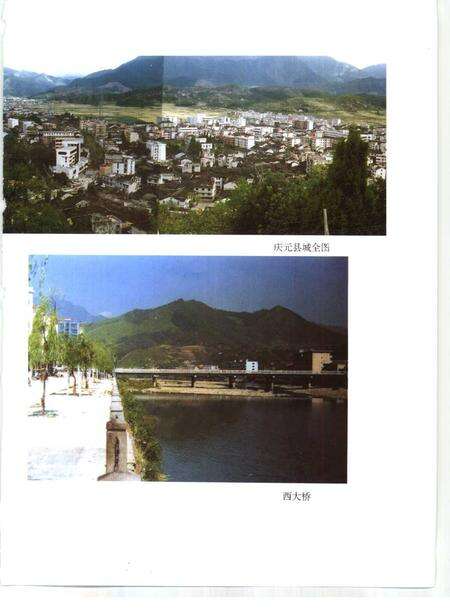 1996-庆元县志.pdf电子版_浙江省志预览图5
