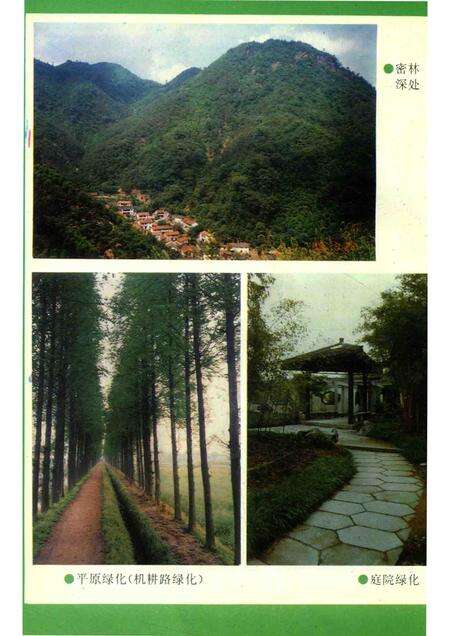 1996-湖州市志丛书  湖州市林业志.pdf电子版_浙江省志预览图5