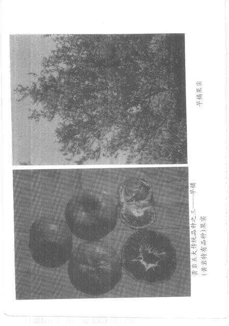 1997-台州文史资料.pdf电子版_浙江省志预览图5