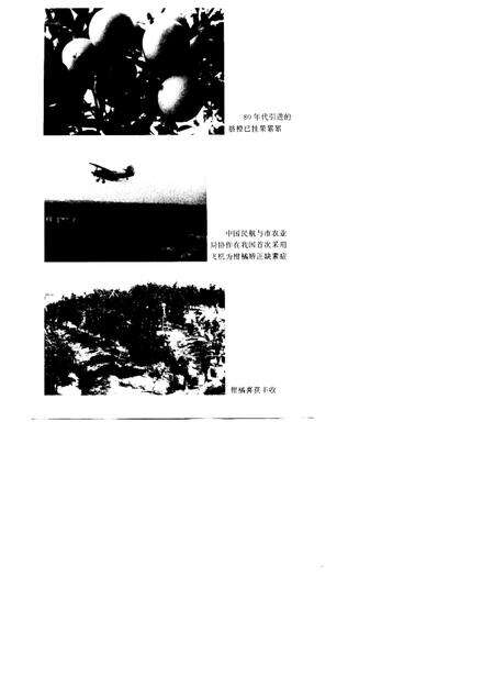1997-衢州柑桔志.pdf电子版_浙江省志预览图5