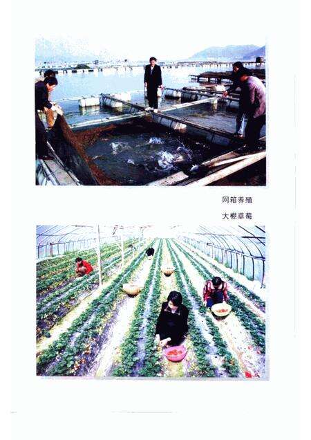 1998-象山改革开放二十年  1978-1998.pdf电子版_浙江省志预览图5