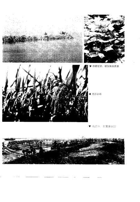 1999-上虞市土地志.pdf电子版_浙江省志预览图5