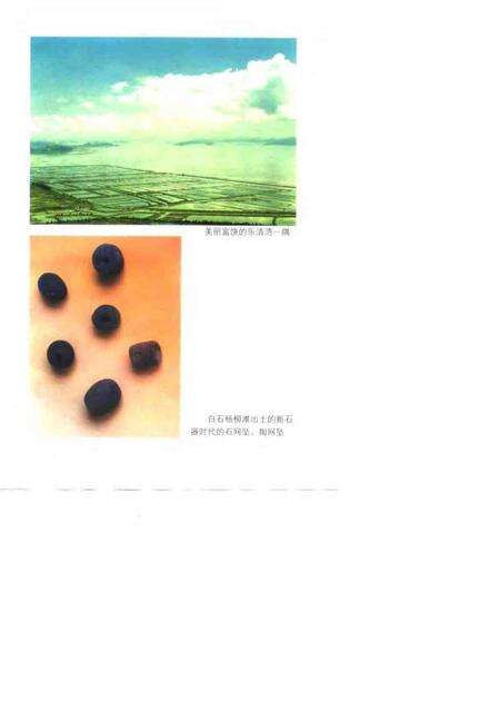 1999-乐清县水产志.pdf电子版_浙江省志预览图5