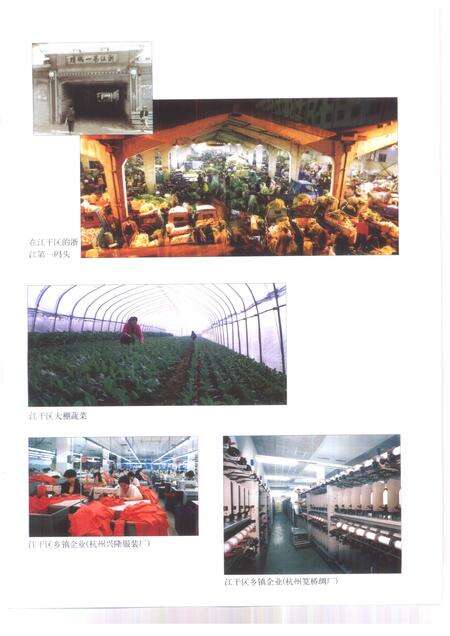 1999-杭州市志  第10卷.pdf电子版_浙江省志预览图5