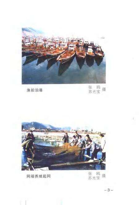 2000-玉环文史资料  第16辑  渔业专辑.pdf电子版_浙江省志预览图5