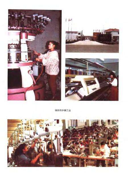 2000-瑞安市土地志.pdf电子版_浙江省志预览图5