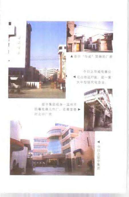 2001-鹿城文史资料  第13辑.pdf电子版_浙江省志预览图5