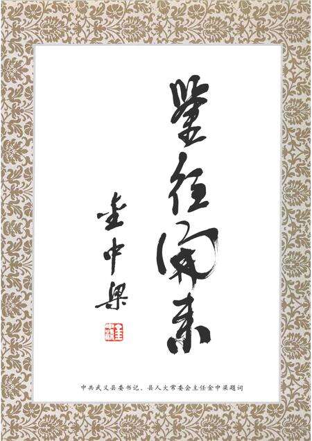 2005-武义县人大志.pdf电子版_浙江省志预览图5