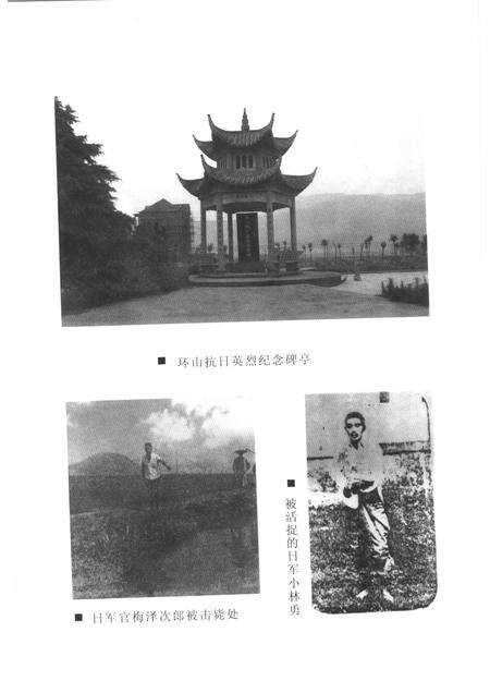 2006-富阳抗战实录.pdf电子版_浙江省志预览图5