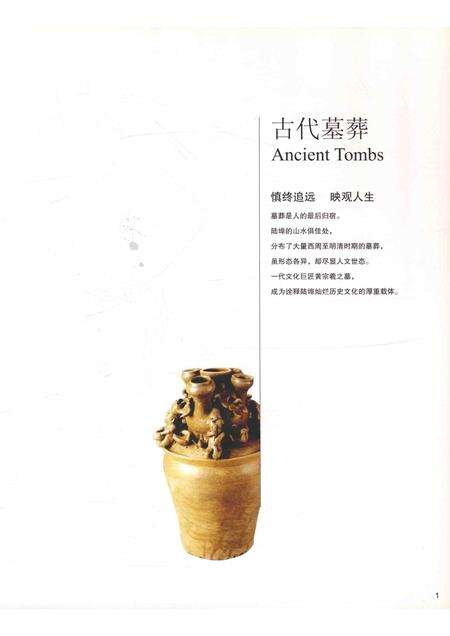 2011-陆埠古韵  余姚记忆·最后的历史文化遗产.pdf电子版_浙江省志预览图5