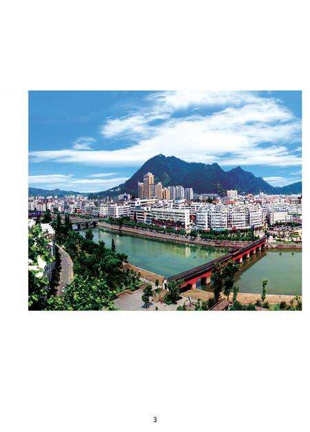 2012-武义县人事劳动社会保障志.pdf电子版_浙江省志预览图5