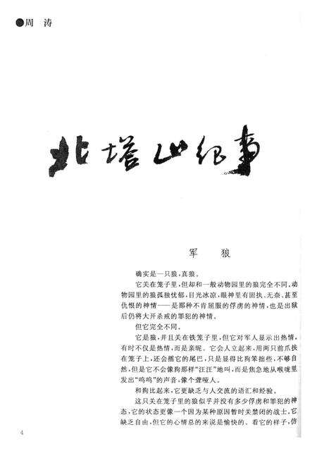 新疆绿洲1999年第04期.pdf电子版_新疆维吾尔族自治区志预览图5