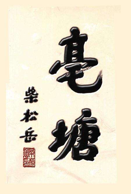 亳塘村志第一册-永康市亳塘村志编委会 编.pdf电子版_浙江省志预览图5