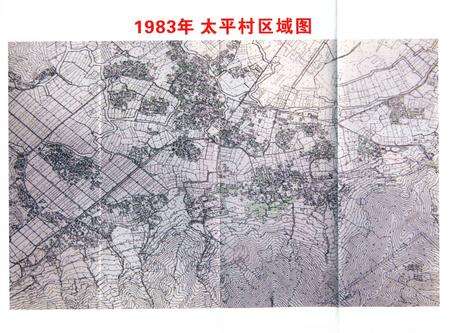 北仑区太平村志-《太平村志》编纂委员会 编.pdf电子版_浙江省志预览图5