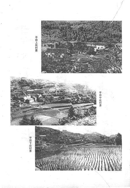 平田张氏村志-清河平田张氏村志编委会 编-1997.pdf电子版_浙江省志预览图5