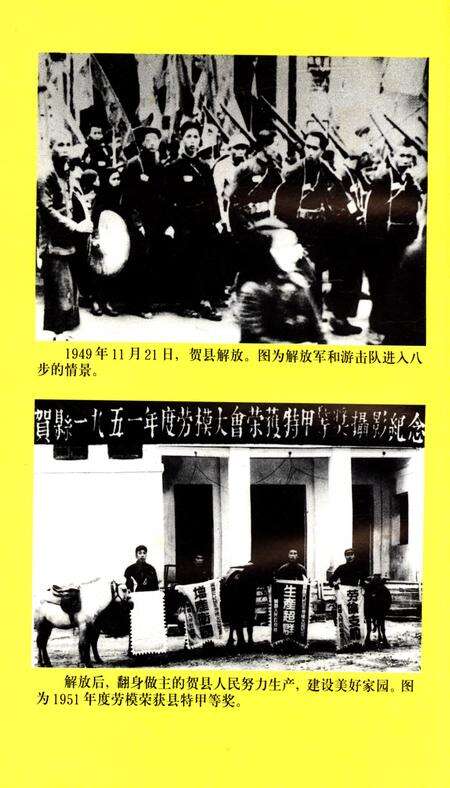 中共贺州市（县级）党史大事记（1949年～2002年10月）.pdf电子版_广西壮族自治区志预览图5