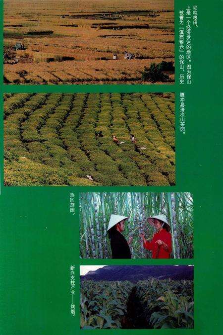 中华人民共和国地方志丛书 保山地区志 中卷.pdf电子版_河南省志预览图5