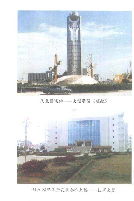 中国共产党永州市凤凰园经济开发区委员会组织史资料（1988～1999）.pdf电子版_湖南省志预览图5