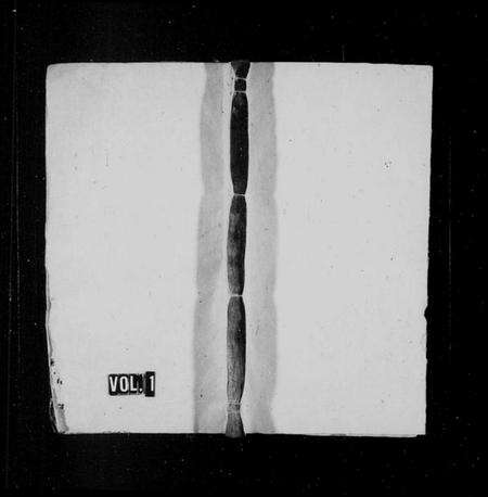 湖南曹氏族谱-曹氏族谱 [不标卷数].pdf电子版缩略图