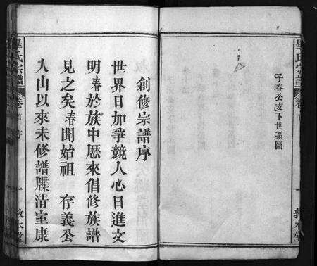 湖北毕氏族谱-毕氏宗谱[15卷,首1卷](别名：毕氏宗谱、Bi Shi Zong Pu).pdf电子版预览图4