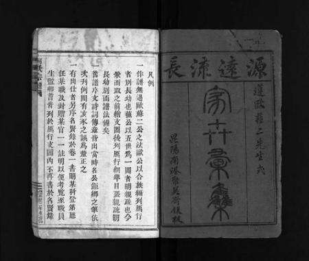 浙江何氏族谱-何氏宗谱 [不分卷].pdf电子版预览图1