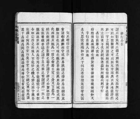 浙江何氏族谱-何氏宗谱 [不分卷].pdf电子版预览图4