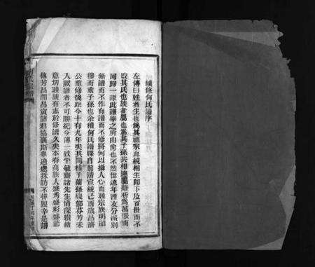 浙江何氏族谱-何氏宗谱 [不分卷].pdf电子版预览图1