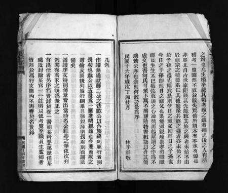 浙江何氏族谱-何氏宗谱 [不分卷].pdf电子版预览图2