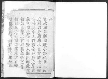 浙江张氏族谱-剡北沈岙张氏宗谱[4卷].pdf电子版预览图1