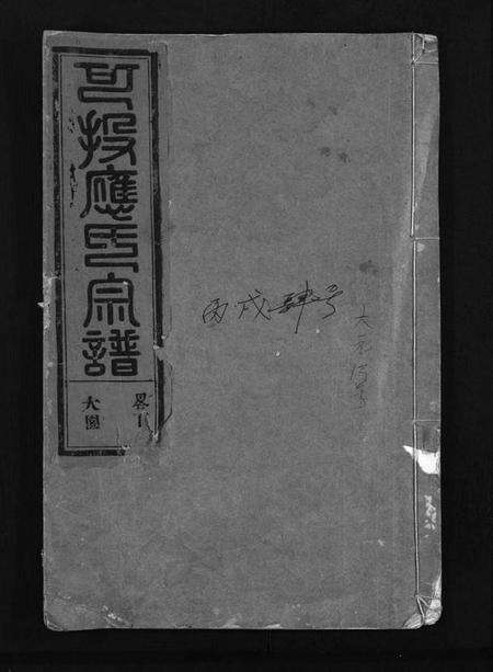 浙江应氏族谱-可投应氏宗谱 [残卷].pdf电子版
