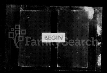 江苏陈氏族谱-如皋石家甸陈氏宗谱 [28卷](别名：陈氏宗谱).pdf电子版预览图1