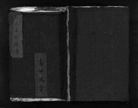 浙江吴氏族谱-吴氏五族总谱 [不分卷].pdf电子版缩略图