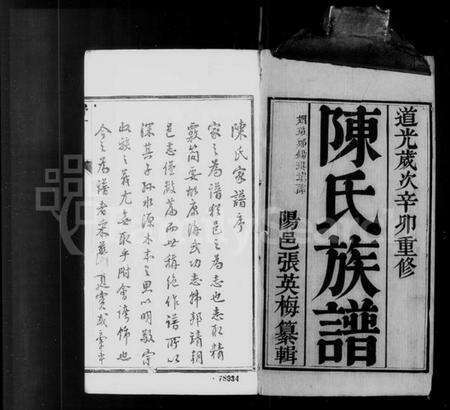 江苏陈氏族谱-陈氏族谱 [6卷,首1卷](别名：陈氏谱略).pdf电子版预览图4