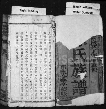 江苏陈氏族谱-陈氏族谱 [8卷](别名：维扬江都陈氏族谱).pdf电子版预览图1