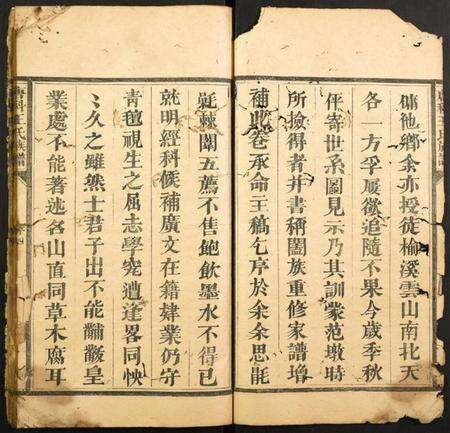 浙江王氏族谱-唐科王氏族谱.pdf电子版预览图3