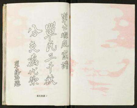 浙江单氏族谱-单氏南安堂温州市鹿城区灿庭公派家谱.pdf电子版预览图1