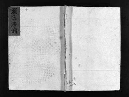 浙江严氏族谱-严氏房谱 [不分卷].pdf电子版缩略图