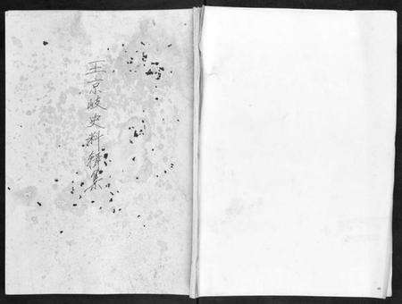 浙江王氏族谱-图山后裔菜子湾王氏宗谱.pdf电子版缩略图