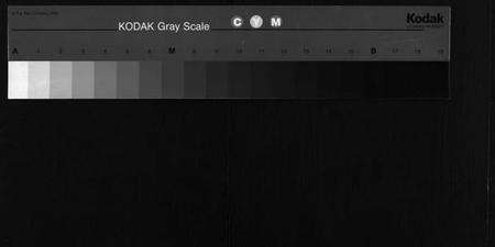 湖北陈氏族谱-义门陈氏宗谱 [10卷](别名：义门陈氏宗谱续编、Yi Men Chen Shi Zong Pu、义门陈氏宗谱).pdf电子版缩略图