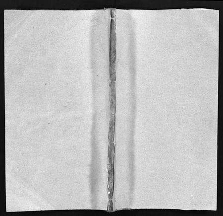 湖北陈氏族谱-义门陈氏宗谱 [10卷](别名：义门陈氏宗谱续编、Yi Men Chen Shi Zong Pu、义门陈氏宗谱).pdf电子版预览图1