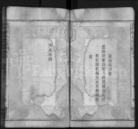 湖北陈氏族谱-义门陈氏宗谱 [12卷,首2卷](别名：Yi Men Chen Shi Zong Pu).pdf电子版预览图5