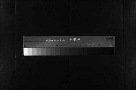 湖北陈氏族谱-义门陈氏宗谱 [12卷](别名：陈氏家乘、Yi Men Chen Shi Zong Pu、义门宗谱、义门陈氏宗谱).pdf电子版缩略图