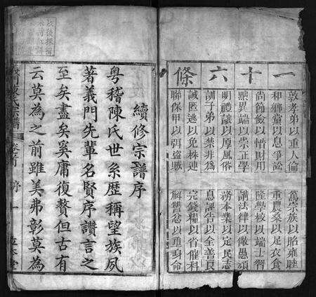 湖北陈氏族谱-义门陈氏宗谱 [5卷,首1卷,总卷1卷,世系9卷](别名：Yi Men Chen Shi Zong Pu、义门陈氏宗谱).pdf电子版预览图3