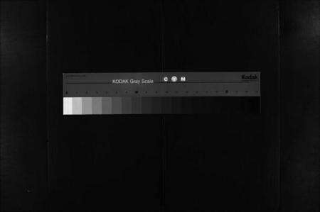 湖北陈氏族谱-义门陈氏宗谱[12卷](别名：Yi Men Chen Shi Zong Pu、义门陈氏宗谱).pdf电子版缩略图