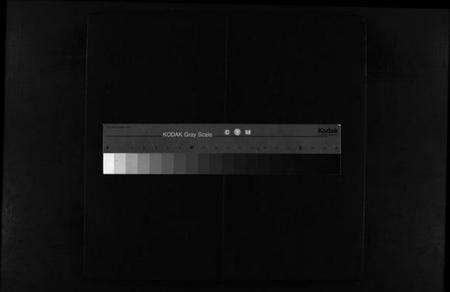 浙江郑氏族谱-壕头郑氏族谱 [残卷].pdf电子版缩略图